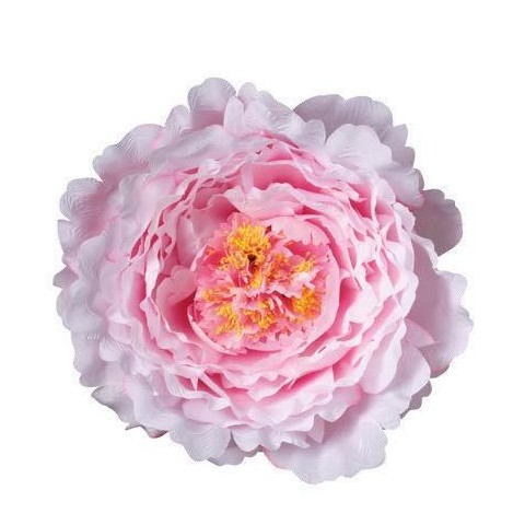 TESTA PEONIA XXL D48 ROSA